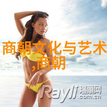 宋代风云录北宋末年之南京失陷与金国入侵的历史转折