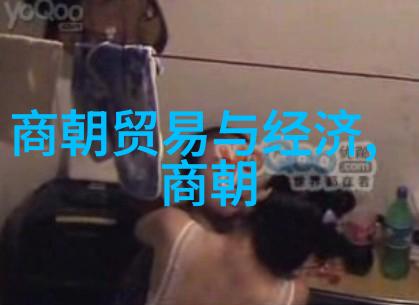 明朝帝王之争谁是最好的统治者