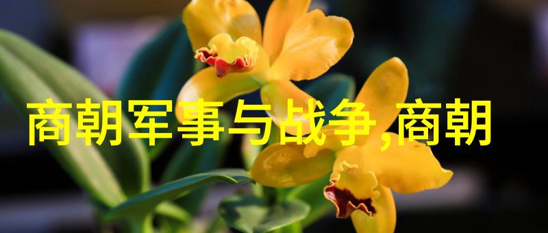 明朝灭亡原因探究历史脉络社会矛盾与政治动荡的交织