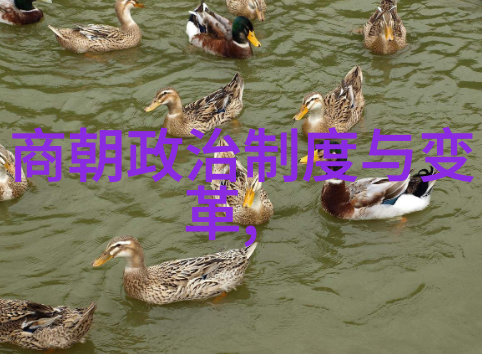 历史的长河免费聆听中国古代传说与故事