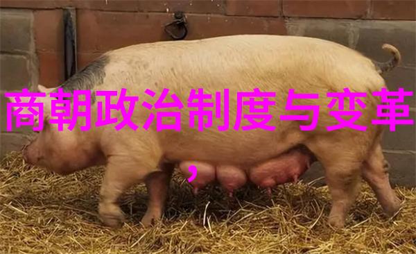 河南豫剧红脸王效领专场演出
