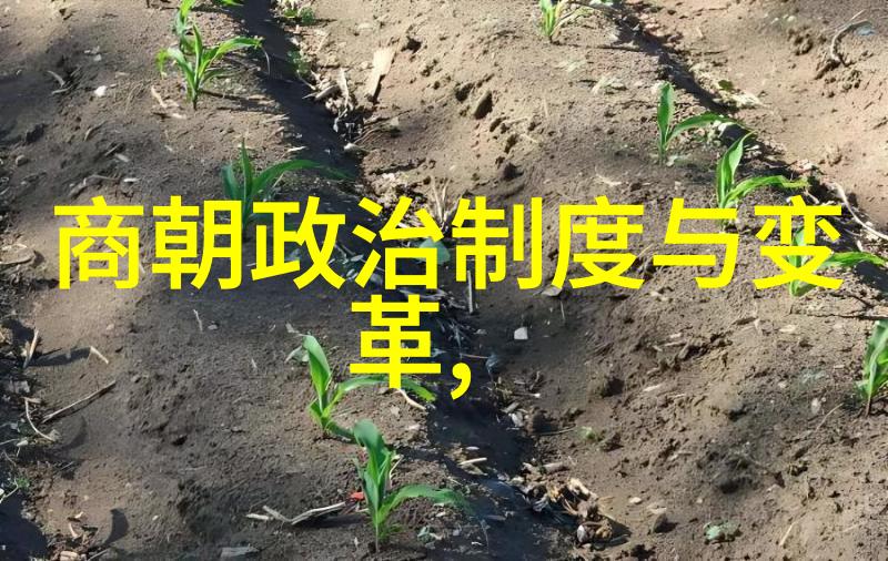 刘亦菲主演的靖康之痛揭秘历史悲剧的电视剧版