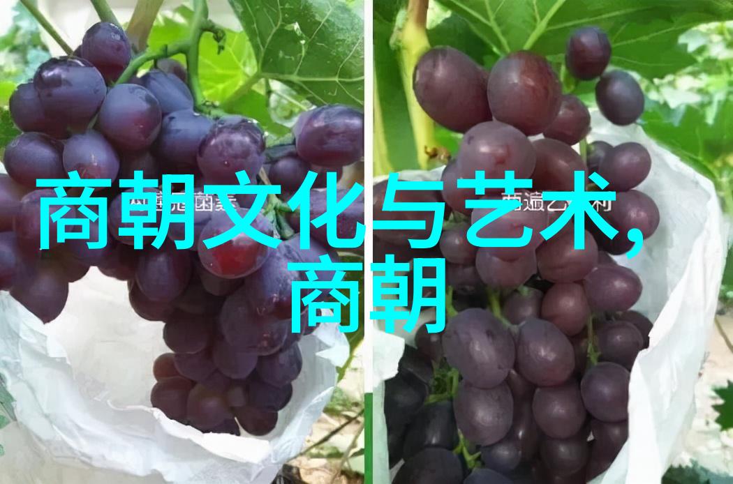 千秋霜雪北宋末年的凋零