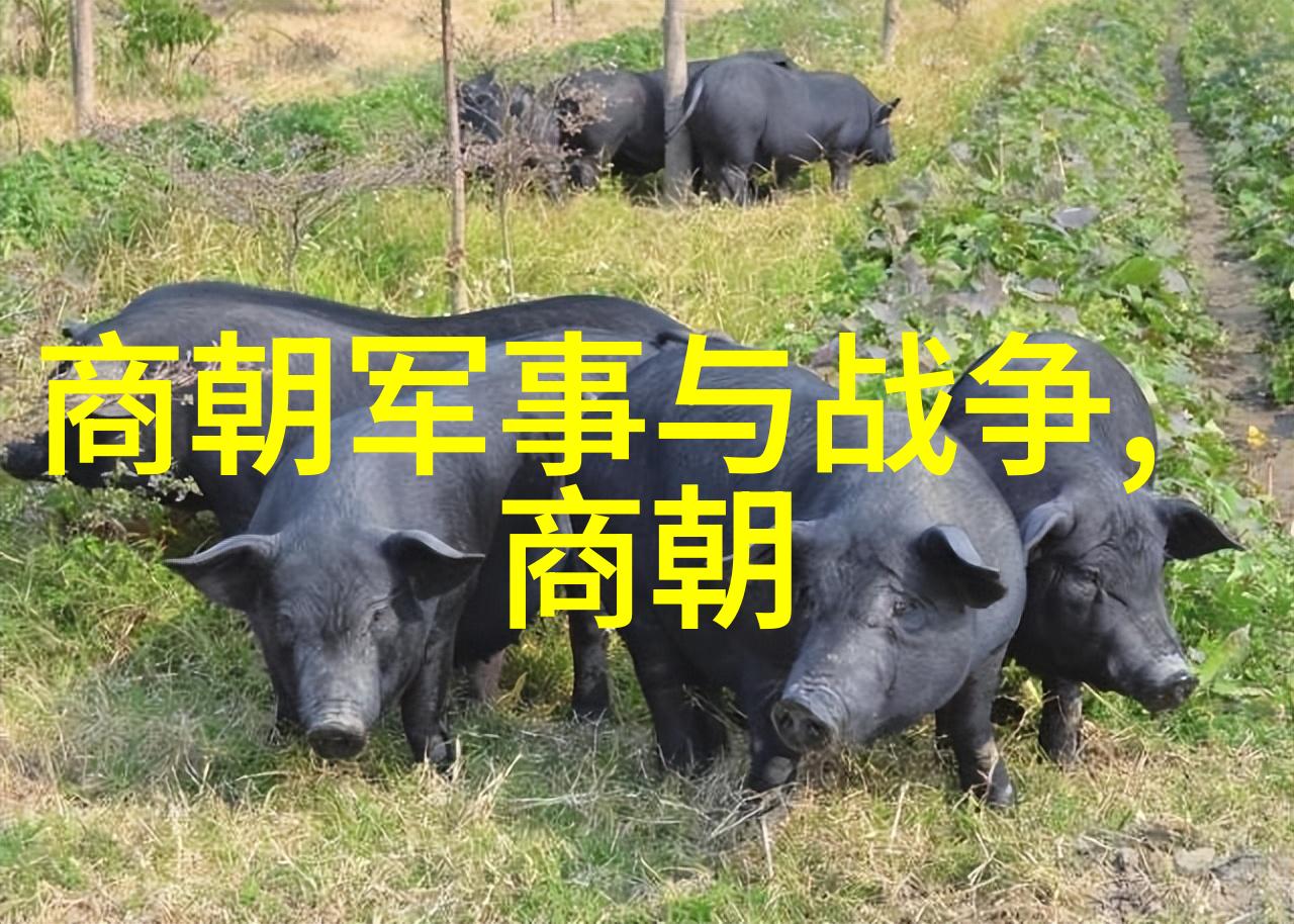 明朝的光辉与沉浮朱元璋郑和与万历之变
