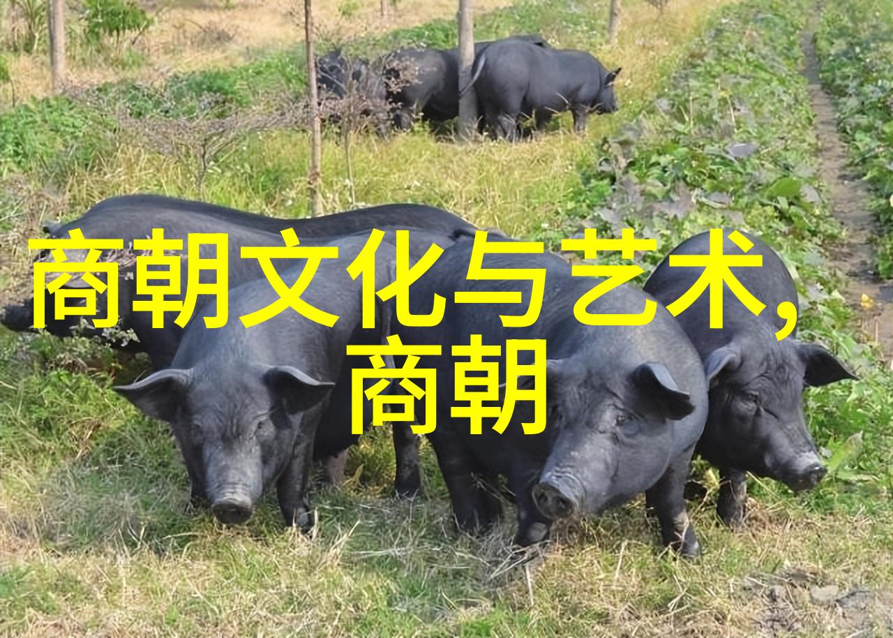 读懂明朝那些事儿从朱元璋到崇祯历史的反思