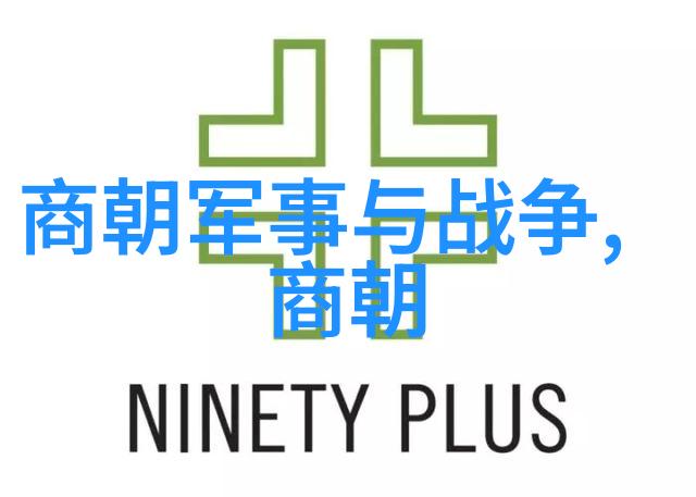 明朝征途辉煌与衰落的历史序章