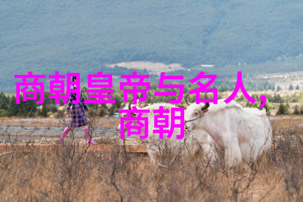 老板说穿裙子好做-轻盈时尚揭秘为什么老板说穿裙子更简单