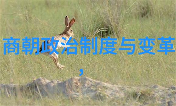 明朝的阴影探索一个被刻意黑暗化的历史