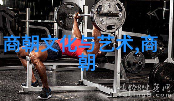 zzo0美国猪我的奇妙探险