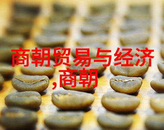 江南百景图中的梅园换了主人严大人不在但我们今天要探讨的是另一个更沉重的历史画面南宋为何覆灭于元朝之手