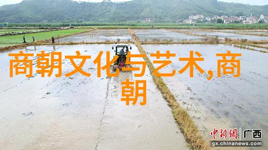 东方文明的繁荣宋代文化艺术与科技创新