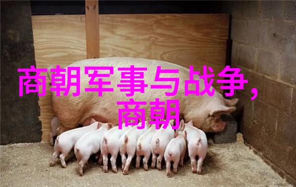 龙争虎斗朱允炆与朱棣的帝位之争