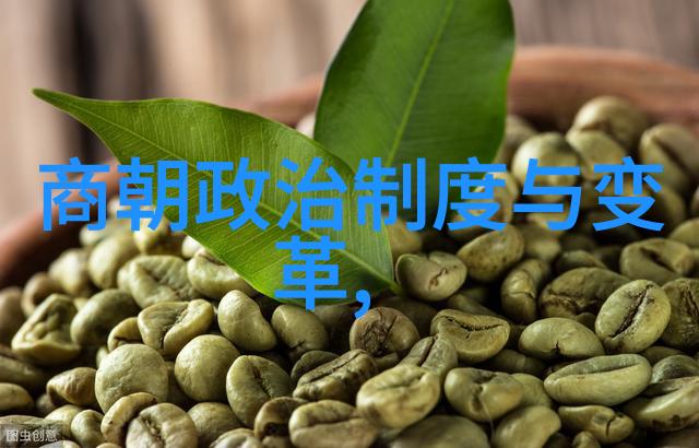北元与明朝之争正统的谜题