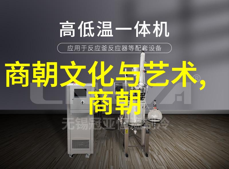 清朝比明朝落后吗探秘那些不为人知的倒影