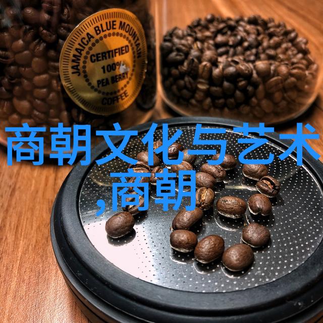 张定边朝代璀璨的星辰