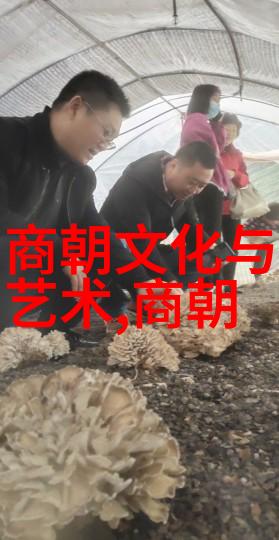 宋高宗赵构从皇帝到开国皇帝