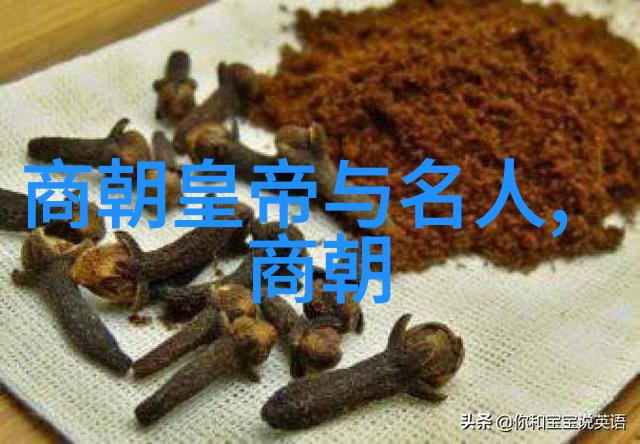 明朝那些故事的深度探究揭秘历史中的奇迹与悲剧
