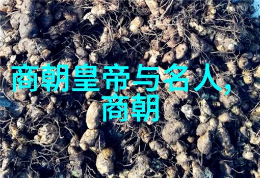 情侣间的身体接触增进情感亲密度