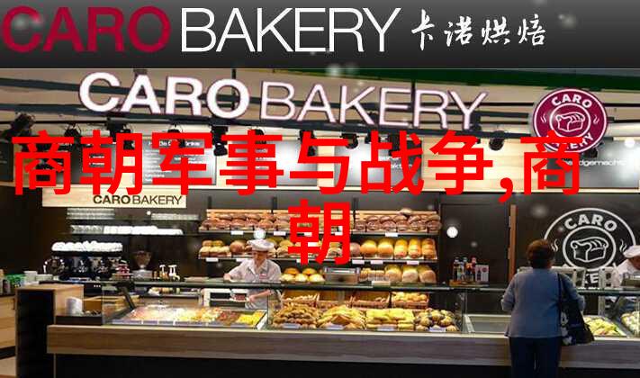 穿梭时空探索中国历史的辉煌与变迁从秦朝到清朝共多少个王朝