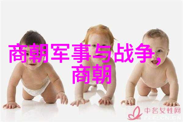教育养宠-温馨家园里的小兔子老师您的小兔兔有软水又多视频