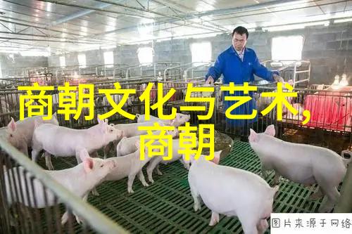 明末八大寇中的女强人关应台传奇生涯探究