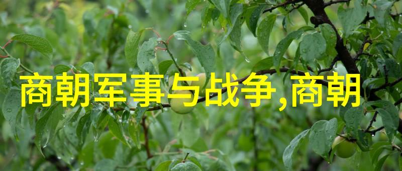 我要下载河南豫剧高桂枝