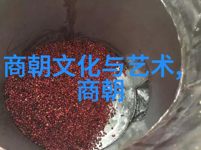 走进宫廷深处解读那些影响了国家命运的暗流涌动