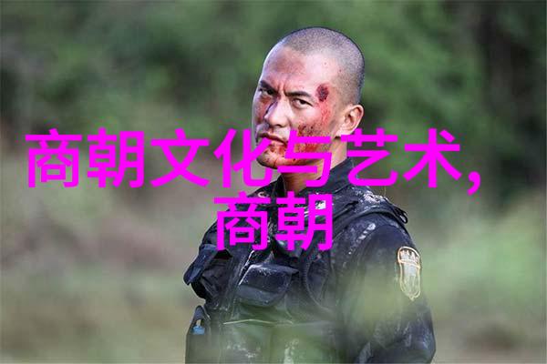 探索中华大地中国的风光与文化纵览