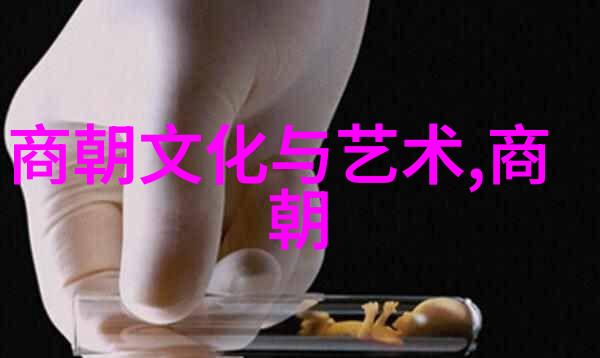 穿越时空的古董机器人一段让历史笑语连连的冒险