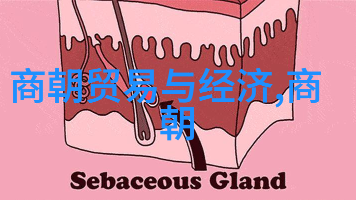 历史的隐喻我国为什么缺乏元朝电视剧的探索