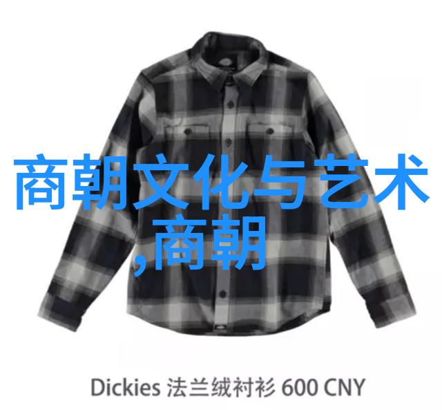 明朝风华电视剧中的历史与梦想