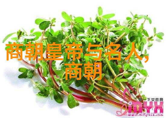 张勇刚历代王朝的沉默守望者
