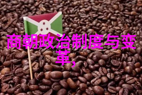 明朝 - 明朝的盛世与衰败强大背后的历史考量