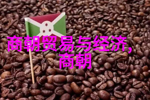 清代帝王的辉煌与衰落一朝天子的人生轨迹