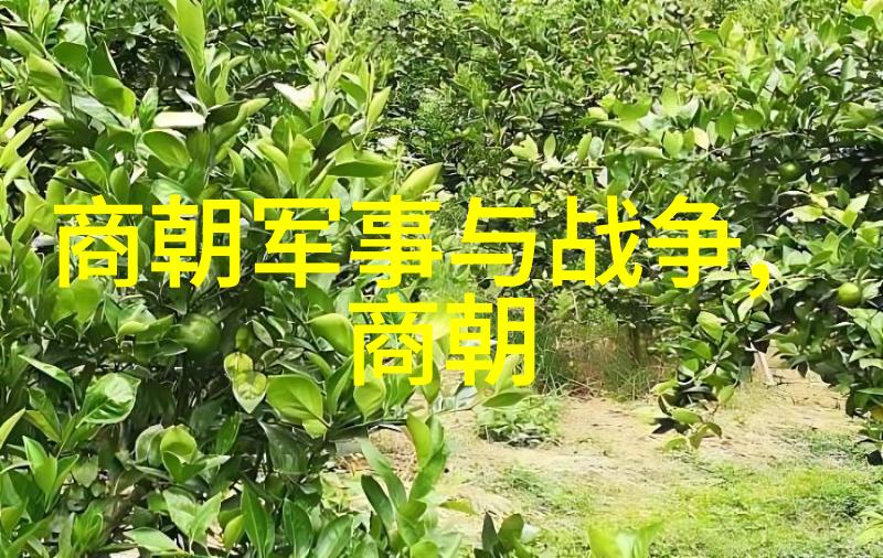 明朝的辉煌与变迁年号背后的历史故事