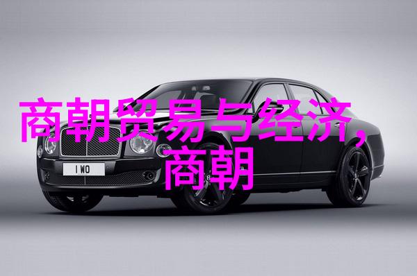 探究病式精神病背后的社会隐喻与个人解脱之路