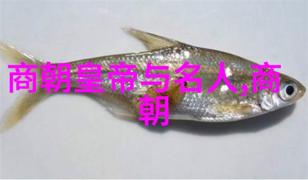 辉煌一瞬暗淡多年明朝那些事中的遗憾与思考