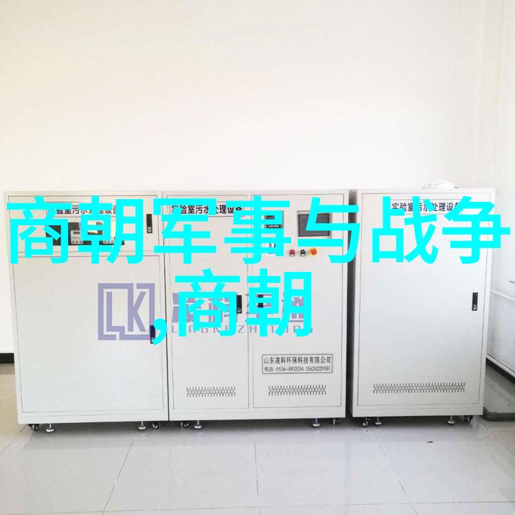 明末八大寇历史简介中国清朝时期的著名反抗势力