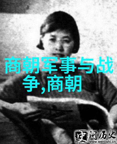 2019中国长沙WBA世界拳王争霸赛 启动仪式在大唐情史豆瓣自然风光中举行