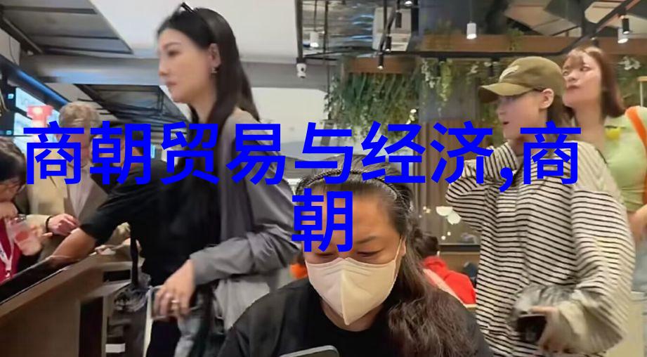 明朝秘录皇权争霸与忠诚的阴影