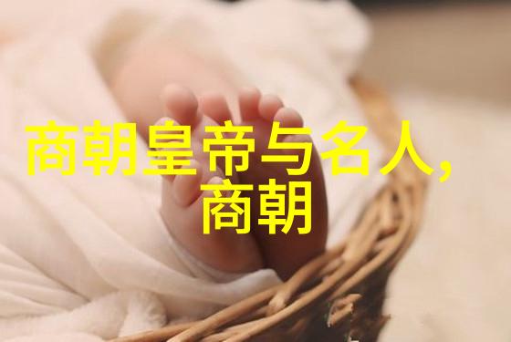 明朝最牛的是谁揭秘明朝那些隐藏于历史之下的巨星
