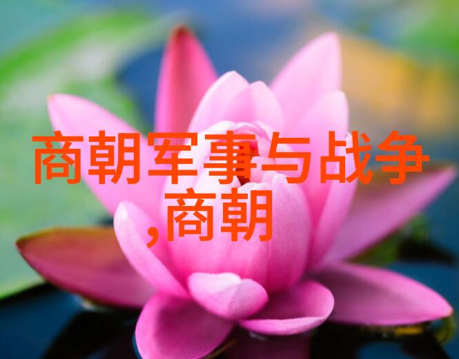 宋朝历史成就锦绣江山的繁荣篇章