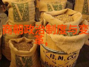 河南豫剧打金枝全集中的赵兵伟豫剧票友的魅力展现