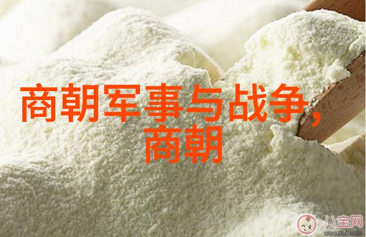 明朝16位能臣排名揭秘下篇权力之争与忠诚的考验