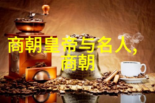 朝代的风华与历史的教训大学生的读后感探索