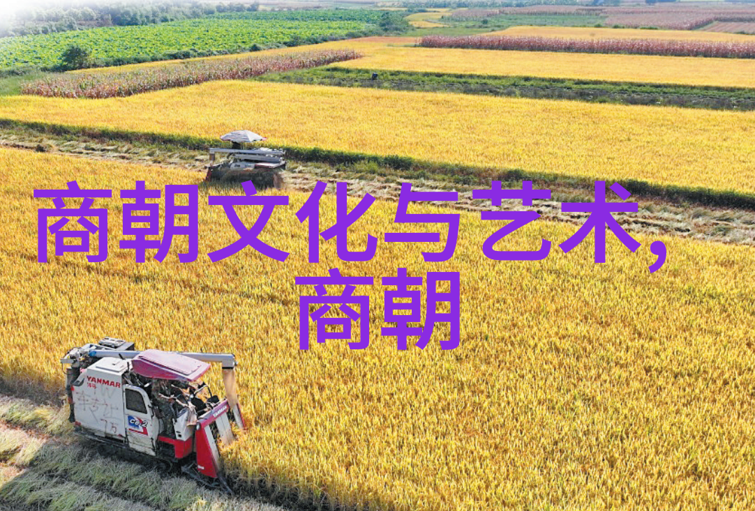 宋朝简介及历史概述走进那座古老的繁华都市