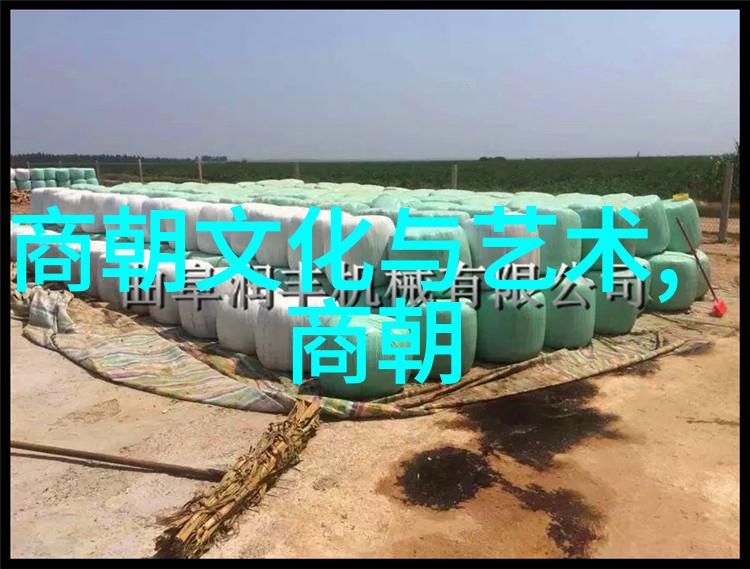 探秘明朝的迷雾揭开诡异背后的历史真相