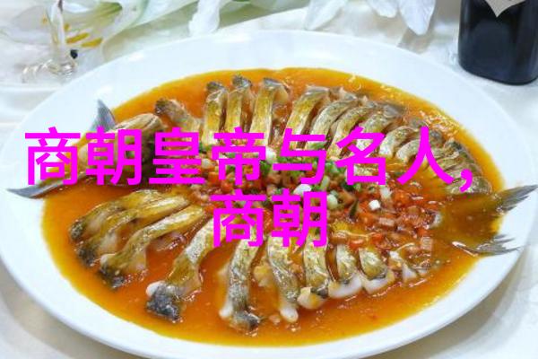 传承记忆共筑中华文脉学习看懂明代史影片技巧