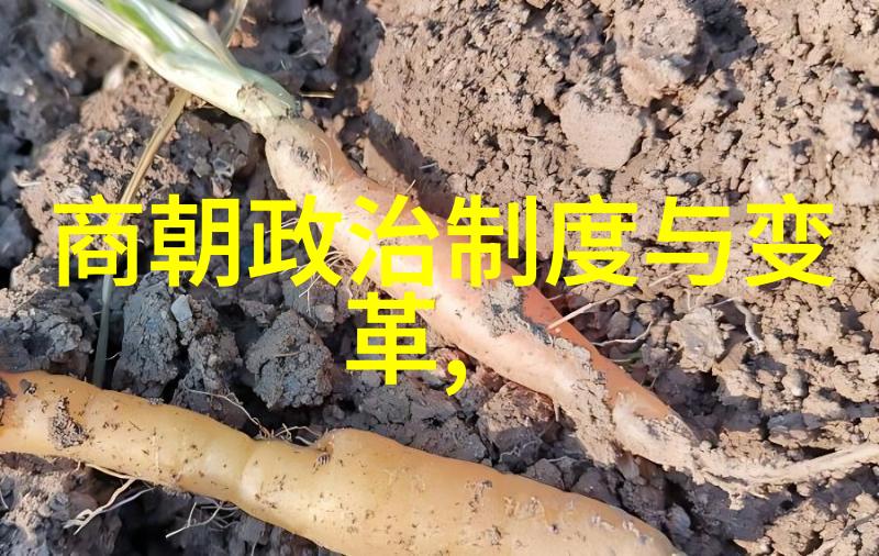 寂寞杏花红无删减春日园中独自绽放的美丽