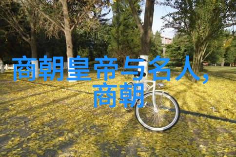 康有为提出的百日维新方案是否真正体现了清末强势改革之意向